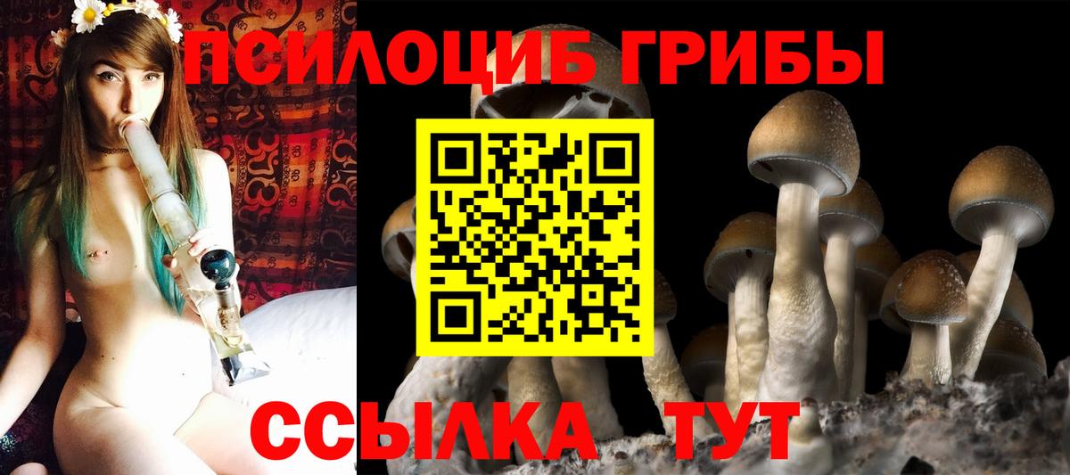 Галлюциногенные грибы GOLDEN TEACHER Белореченск