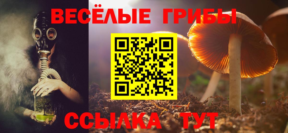 Белореченск  Псилоцибиновые грибы Psilocybe  Галлюциногенные грибы мухоморы  Вход с VPN 